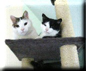 Moritz und Maxi Moritz und Maxi