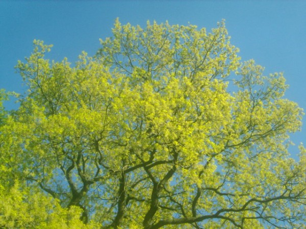 April 2011