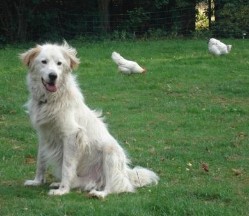 Aufenthalt bei uns: 2 Wochen Aufenthalt bei uns: 2 Wochen