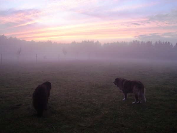 Abendstimmung ... Abendstimmung ...