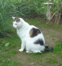 Moritz im Garten Moritz im Garten