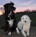 Black&White-Dreamteam Black&White-Dreamteam