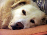 Marina und die Couch ... Marina und die Couch ...