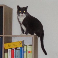 Bingo auf dem Treppchen Bingo auf dem Treppchen