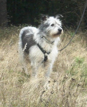 Aufenthalt bei uns: 6 Wochen Aufenthalt bei uns: 6 Wochen