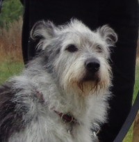 Unsere Diva! Unsere Diva!