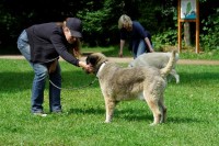 Zwischendurch einfach mal kuscheln! Zwischendurch einfach mal kuscheln!