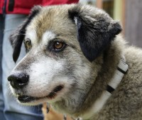 Erster Satz von Sabine: Dieser BLICK! Erster Satz von Sabine: Dieser BLICK!