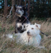 Harvey und Kathy, 4 Jahre Harvey und Kathy, 4 Jahre
