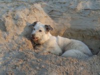 Sand zwischen den Zähnen? Sand zwischen den Zähnen?